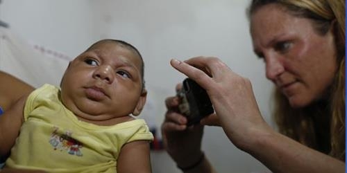 شیوع ویروس زیکا در ۴۶ کشور جهان