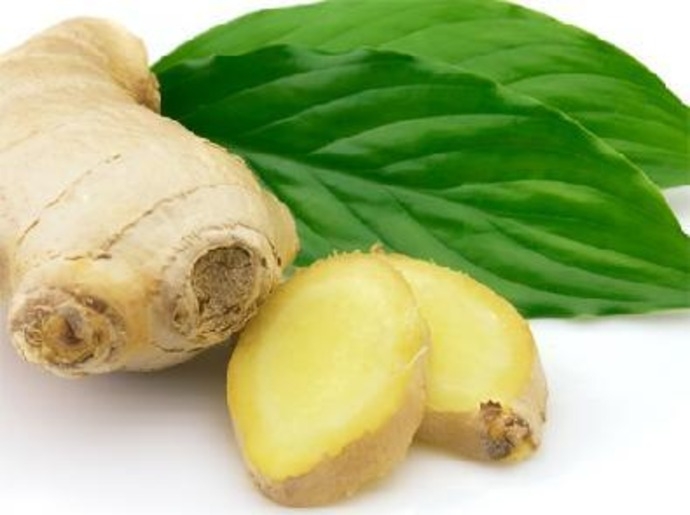 زنجبیل برای پیشگیری از خطر ابتلا به سرطان