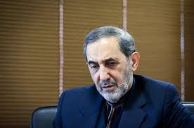 وحشت ولايتي در مورد از بين بردن نظام