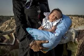 دزدي 500 ميلياردي بنام كارتن خوابها