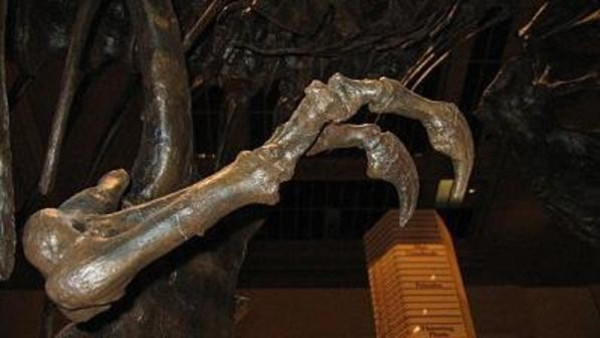 سال‌ها درباره خشن‌ترین دایناسور تاریخ اشتباه فکر می‌کردیم