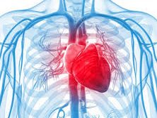 گرفتگی عروق قلب: علت و روش‌های درمان