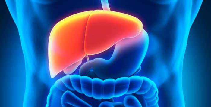 کبد چرب مرحله به مرحله خطرناک می شود!