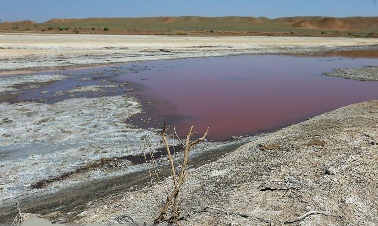 مرگ تالاب های ایران ، نتیجه حاکمیت شوم  رژیم ولایت فقیه