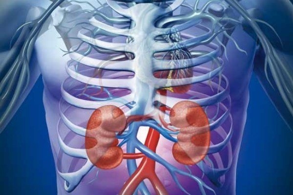 انواع بیماری های کلیه: علائم و درمان