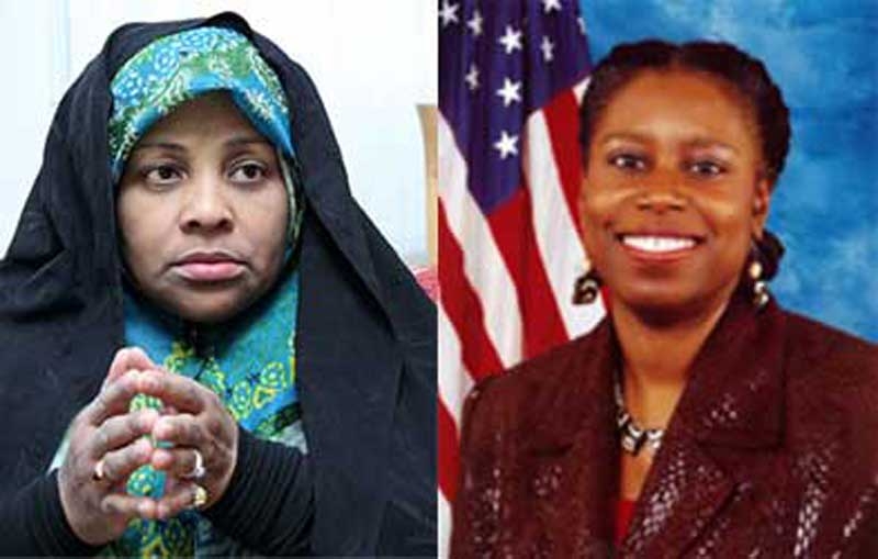 دستگیری خبرنگارپرس تی وی رژیم در آمریکا