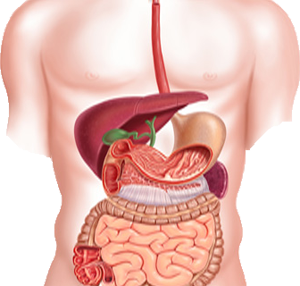 gastric