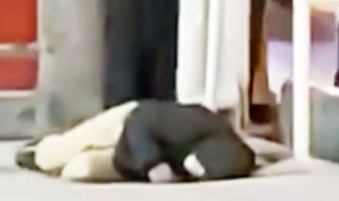 Coronavirus Iran: Schockierendes Video des Zusammenbruchs des Menschen – als verängstigte Passanten ihn ignorieren | Welt | Nachrichten