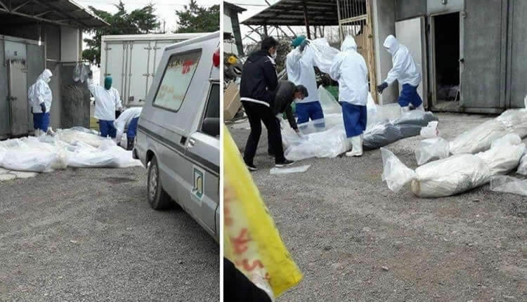 فراخوان اتحادیه جوامع ایرانی در آلمان  به صدراعظم خانم مرکل، دولت و نمایندگان مجلس فدرال آلمان