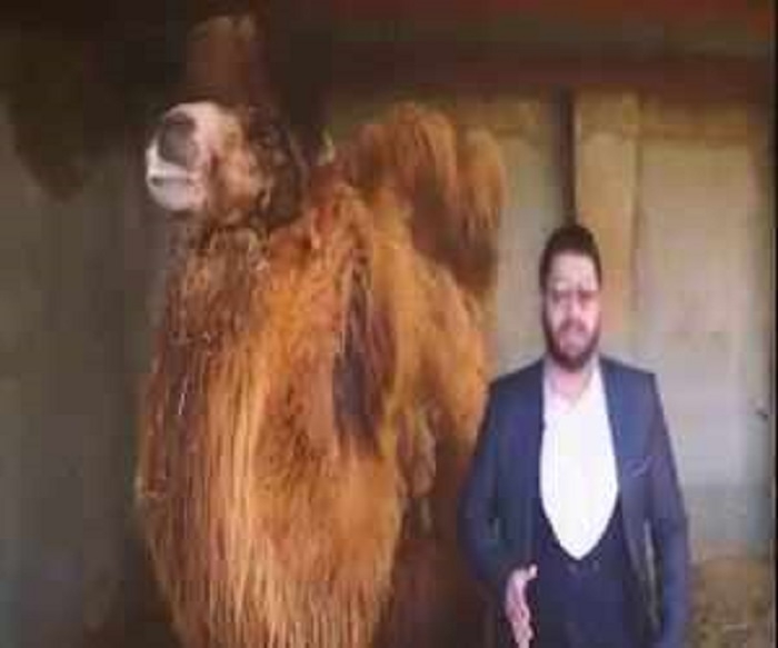 روزنامه پاریزین «و اگر شتر ما را در برابر کروناویروس حفظ می کند...»