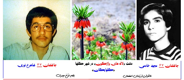 maghalat1