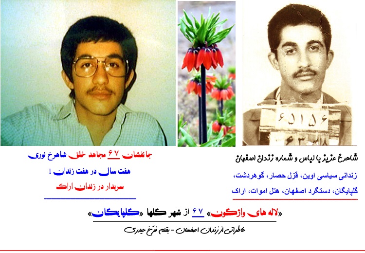 maghalat2