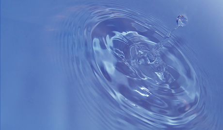 تئوری جدید تکامل