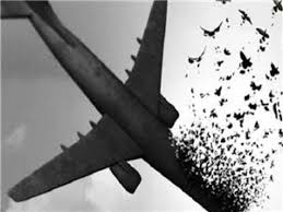 پرداخت غرامت جنایت سپاه پاسداران از جیب مردم فقیر ایران