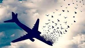 گزارش شیادانه رژیم درباره ساقط کردن هواپیمای اوکراینی