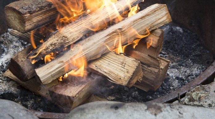 « با پیش بینی زمستان, برلینی ها به سوی تاجران چوب و زغال سنگ می شتابند»
