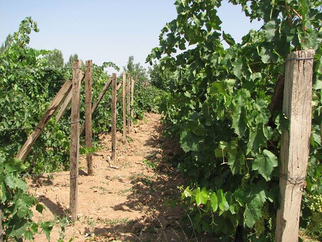pourfarzaneh 395e6
