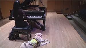 خلق نتهای سه بعدی پیانو برای نابینایان