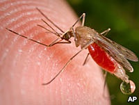 کشف روش جدید کنترل بیماری مالاریا