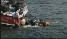 سال ۲۰۱۴ مرگبارترین سالِ پناهجویان لقب گرفت