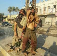 محكوم كردن قتل و كوچهاي جنايت كارانه توسط شبه نظاميان درعراق