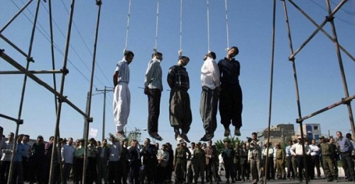 ايران: 13 اعدام در يك روز