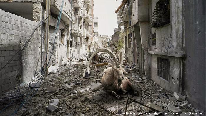 درگيري‌هاي كوباني ۸۰۰ كشته برجاي گذاشته است