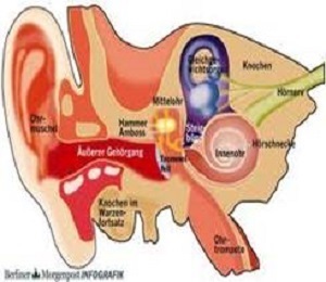 شناخت بدن و بیماری های آن ـ قسمت پنجم ـمعالجه جدید وزوز کردن گوش    ((Tinnitus