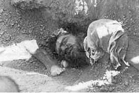 چرا توابان مدعي سابقه زندان اعدام نشدند