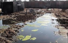 حمايت نماينده پارلمان خالد المفرجي از حقوق ساكنان ليبرتي