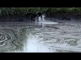 زمين به تماشاي پايان سفر ۵.۵ ميليارد سالي ستاره دنباله‌دار ايزون مي نشيند