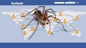 سپاه ۱۲ نفر را در عمليات فيسبوكي `عنكبوت` دستگير كرده است