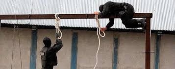 اعدام مخفيانه 12زنداني در شيراز و مشهد در يكروز