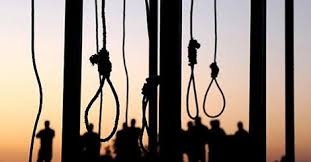 عفو بين الملل: بيشترين اعدام ها در سال ۲۰۱۴ در ايران صورت گرفت
