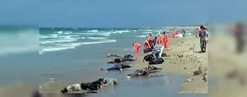 آمار قربانيان پناهجويان 30برابر افزايش يافته است