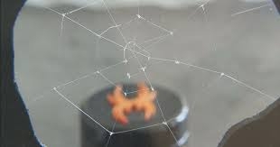 ساخت تار عنكبوت مصنوعي محكم و براق مانند ابريشم