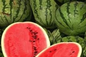 آخوندها در مظان صدور هندوانه سمي به كشورهاي عربي