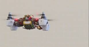 پرواز به شيوه حشرات الگوي نسل آينده پروازها