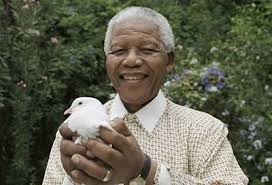 mandela c1e3d