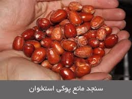 گیاهان معجزه آسا در درمان آرتروز (پوکی استخوان) ،