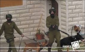 يورش نيروهاي اسراييلي به جوانان فلسطيني