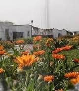 ليبرتي، قلعه آزادي كه تهران را به وحشت مي اندازد