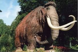 تلاش یک بیولوژیست برای بازگرداندن ماموت‌ها